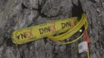 DYNEX GOLD - Image 4